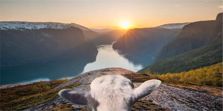 Berg och fjord i Norge