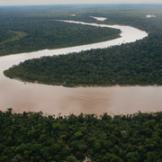 Jaír Bolsonaro/Amazonas. 