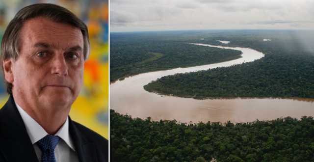 Jaír Bolsonaro/Amazonas.  TT