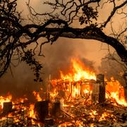 Bilder från en kogsbrand i Oroville i Kalifornien, USA, 2024.