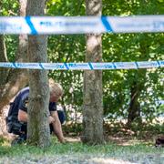 Polis vid Nydalaparken i juli i somras, då mordet och mordförsöket inträffade. 
