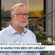 Johan Pehrson i ”Nyhetsmorgon”.