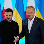 Volodymyr Zelenskyj och Donald Tusk. 