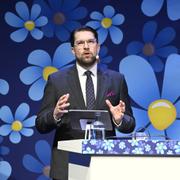 Jimmie Åkesson.