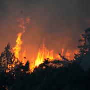 Brand utanför Lissabon.