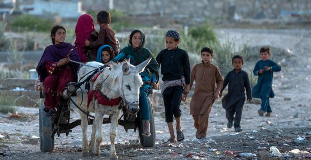 Barn i Afghanistan. Ebrahim Noroozi / AP