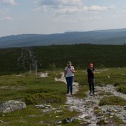 Vandringsled i Härjedalen.