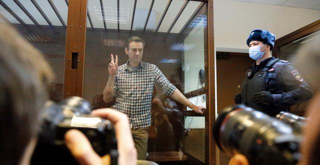 Aleksej Navalnyj i rätten  Alexander Zemlianichenko / TT NYHETSBYRÅN