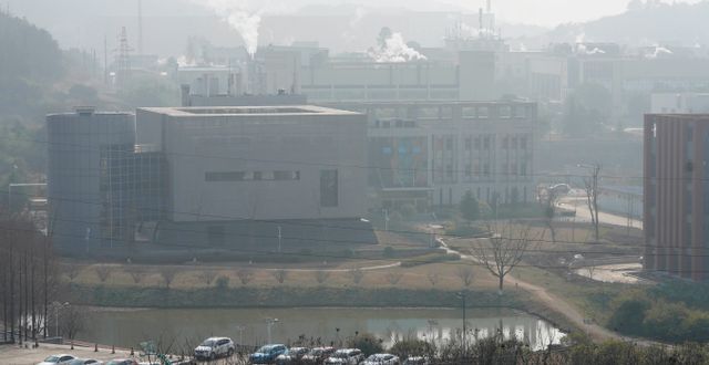 Wuhan institute of virology har pekats ut som en trolig smittkälla. Ng Han Guan / AP