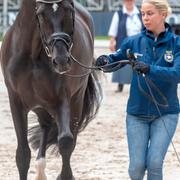 Therese Nilshagen med Dante Weltino.