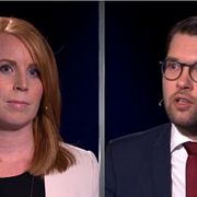 Annie Lööf, Jimmie Åkesson.