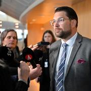 Sverigedmokraternas partiledare Jimmie Åkesson. Arkivbild. 