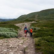 Fjällvandringsled mellan Storulvån och Blåhammaren i Jämtlandsfjällen.