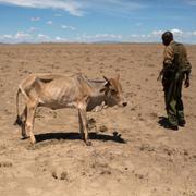 Torka i Kenya 2019.