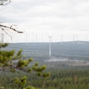 Vindkraftspark i Piteå kommun.