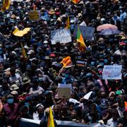 Demonstrationer mot bröderna Rajapaksa