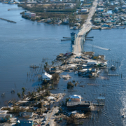 Bilder från Florida.