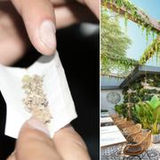 Lowell Farms är den första krog som fått tillstånd att servera cannabis i USA.