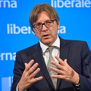 Guy Verhofstadt