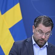 Jimmie Åkesson (SD)