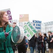 Ett par tusen demonstranter samlades utanför Alltinget