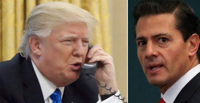 Donald Trump och Enrique Peña Nieto.  TT