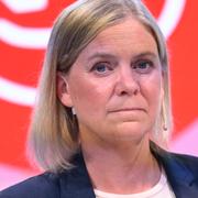 Magdalena Anderssons (S) regering vill satsa minst 60 miljarder i stöd för elkunder.