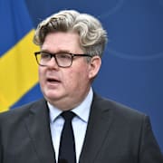 Gunnar Strömmer (M).