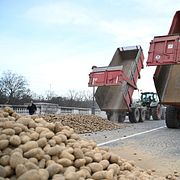 Bönder som dumpar potatis i Paris som en aktion mot EU:s handelsavtal med Latinamerika. Illustrationsbild.
