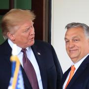 Donald Trump och Ungerns Viktor Orbán.