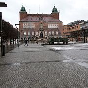 Pojken dömdes i Borås tingsrätt.