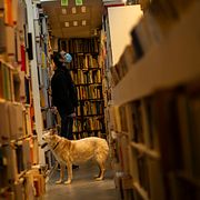 En man och hans hund tittar på begagnade böcker i ett antikvariat i Bryssel.