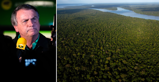 Jair Bolsonaro/Brasiliens Amazonas.  TT
