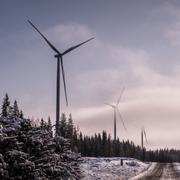 Vindkraftverk i Piteå.