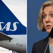Miljöminister Karolina Skog.