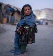 Kabul, 7 december. Petros Giannakouris / AP