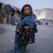 Kabul, 7 december.