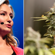 Ebba Busch Thor och en marijuana-planta.