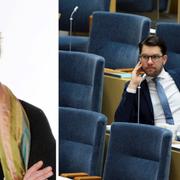 Lena Mellin och Jimmie Åkesson.