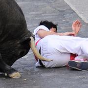 Bild från tjurrusningen i Pamplona.