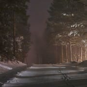 Bild från Trönö, nordväst om Söderhamn, efter ovädret Anna.