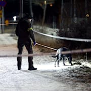 En hundpatrull i Salem