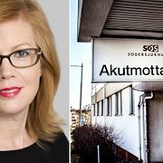 Anna Starbrink (L) reagerar starkt på uppgifterna om att SD registrerar patienter.