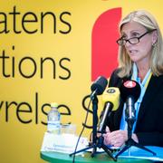 
 Elisabet Åbjörnsson Hollmark, generaldirektör för Statens institutionsstyrelse (Sis) under en  presskonferens 2020. 