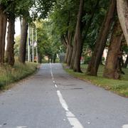 Ett grönområde längs med en gång- och cykelväg på Djurgården i Stockholm. 