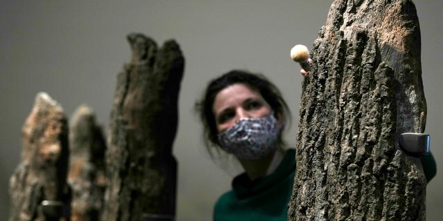 En anställd på British Museum dammar av en utställning. Alastair Grant / AP