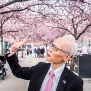 Arkivbild på Noke Masaki, Japans ambassadör i Sverige,  som besökte körsbärsblommorna i Kungsträdgården.