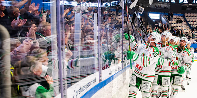 Ett Briljant Rogle Surfar Vidare Pa Framgangsvagen Omni