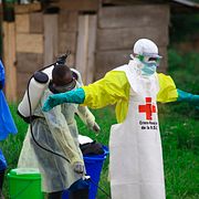 Sedan ebola identifierades i Kongo har landet haft 17 olika utbrott av viruset. Det största ägde rum 2014-2016 och dödade över 11 000 människor, även i grannländerna.
