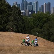 Arkivbild. Greenwich Park i London.